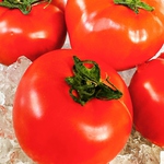 当店ではひとつひとつこだわりのある食材をご用意しております。旬のものなど季節に合った料理をぜひ