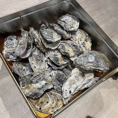 �n���y�R�ڂ���ƃK�b�c������