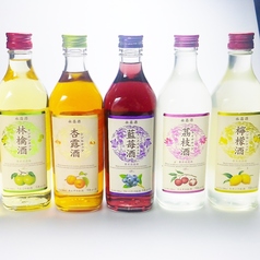 梅酒/杏露酒/林檎酒/檸檬酒/藍苺酒/ライチ酒