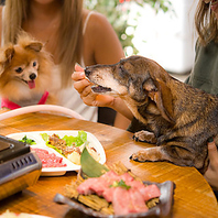 ワンちゃんなどペットを同伴で焼肉をご堪能できます！