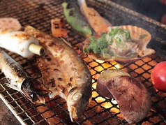 阿波もん 囲炉裏酒場 あらた
