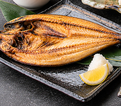 根ホッケ 1匹