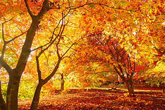 なみや 小倉駅前の特集写真