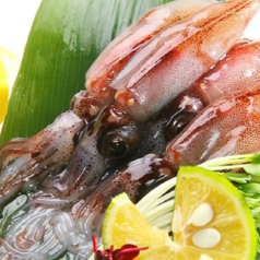 ■ホタルイカメニュー■