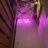 韓国居酒屋 マッコリハンザン 月光酒店の雰囲気2
