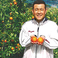 ～ブラッドオレンジのご紹介～国内有数のミカン産地である、愛媛県。宇和島市は、愛媛県南西部に位置し、年間平均気温が16.8℃と、四季を通じて温暖な気候です。熟した「桃」や「ベリー」を思わせるよう な、柑橘とはかけ離れた食味も大きな特徴です。宇和島から皆様にお届けしています。