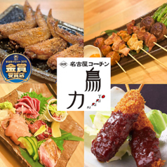 純系名古屋コーチン 鳥力の特集写真