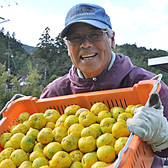 高知県東部の山の奥のそのまた奥にある馬路村。化学系農薬や化学系肥料、除草剤を使わず、手間と苦労をかけて、自分の子どもや孫に安心して食べさせる事ができるものをという思いで育てたゆず。味と香りは抜群に”えいっ”と自信を持っています！～馬路村ゆず・はちみつサワーでお召し上がりいただけます。