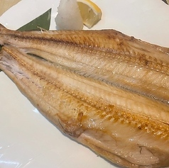 肉厚！特大ホッケ