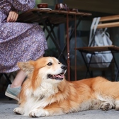 THE BOTANICAL RESORT RINNE 『林音』の駐車場をご利用いただけます♪ご家族と、愛犬と、ご友人と、さまざまな大切な方とのお食事にぴったりな当店をぜひご利用ください◎