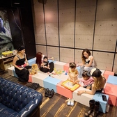 safari サファリの雰囲気3