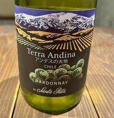 テラアンディーナ　シャルドネ