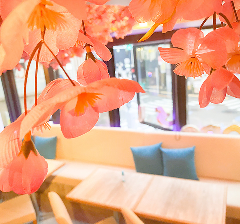 Colorsol Qualia 池袋西口 居酒屋 ネット予約可 ホットペッパーグルメ