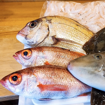 居酒屋 伊与門のおすすめ料理1