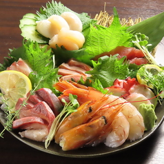 本日のお刺身5種盛り
