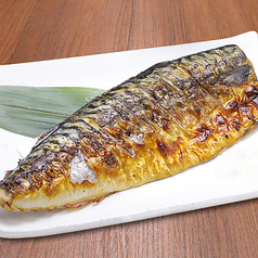 とろさば塩焼き　半身