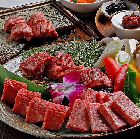 PREMIUM�ē� ������