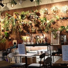 2名用テーブルが2席あり、女子会やランチなどさまざまシーンに対応します。植物を見ながらゆったりとした時間を過ごしていただけます。