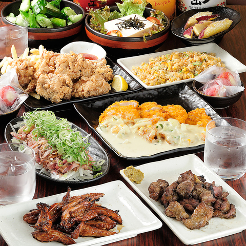 谷町四丁目駅すぐ！薩摩郷土料理や地鶏が美味い★掘りごたつ貸切宴会も受付中◎