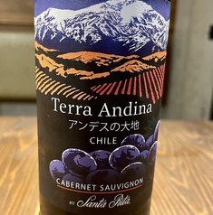 テラアンディーナ　カベルネソーヴィニヨン