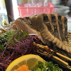 福岡産 サワラ炙り