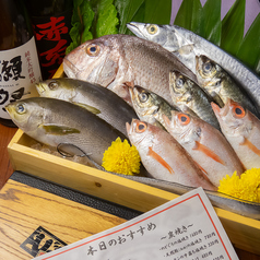 隠れどどど あん 岡山駅前特集写真1