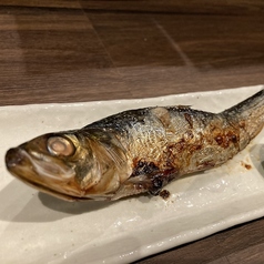 本日のかまの塩焼き