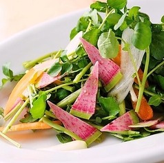 菜園風サラダ full