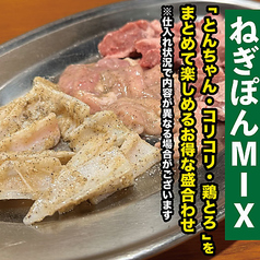 【超お得！】ねぎぽんMIX（とんちゃん・コリコリ・鶏とろ）