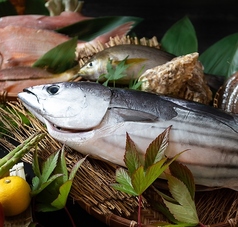 土佐割烹てんくろのコース写真