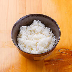 ご飯 (中)/Rice (M)