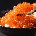新鮮な食材を使用したお料理を
