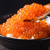 新鮮な食材を使用したお料理を