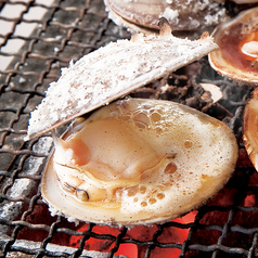 《活》はまぐり 2個