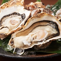 お好み焼きだけでなく広島名物含む逸品も！