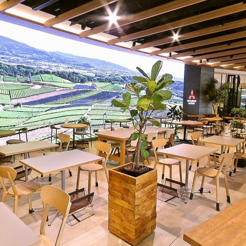 YAMAYA 3 TERRACE ���}�� �X���[ �e���X