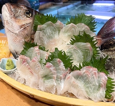 活真鯛