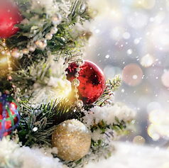 イタリアンダイニング tres トレス 難波のコース写真