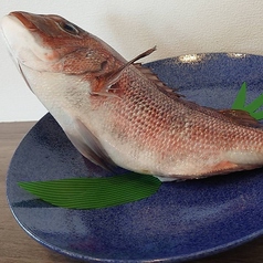 旬の食材を使用し、毎日変わる煮魚や焼き魚が絶品☆