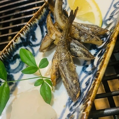 めひかり焼き