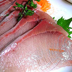 ハマチの刺身