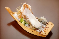 泳ぎ烏賊