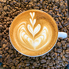 GEEK Coffee Roastery 4FOUREST ギークコーヒーロースタリー フォレストのロゴ