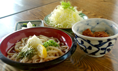 ぶっかけうどん(冷)&ミニ丼セット