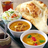 インドカレー ラルジョディの詳細