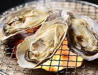 新鮮な『豊前ひとつぶ牡蠣』をご提供☆