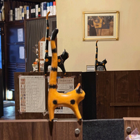 至る所に猫雑貨あります