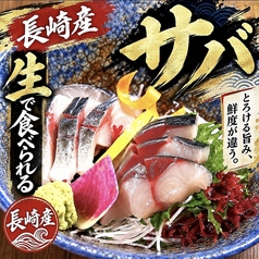 ハーブ鯖お刺身/炙り刺し