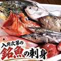 料理メニュー写真&nbsp;チヌ、ハチガラ、イジミなど日替わり入荷の銘魚のお刺身