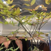 旬菜 笑の雰囲気3